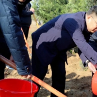 万物复苏春来到 植树造绿正当时