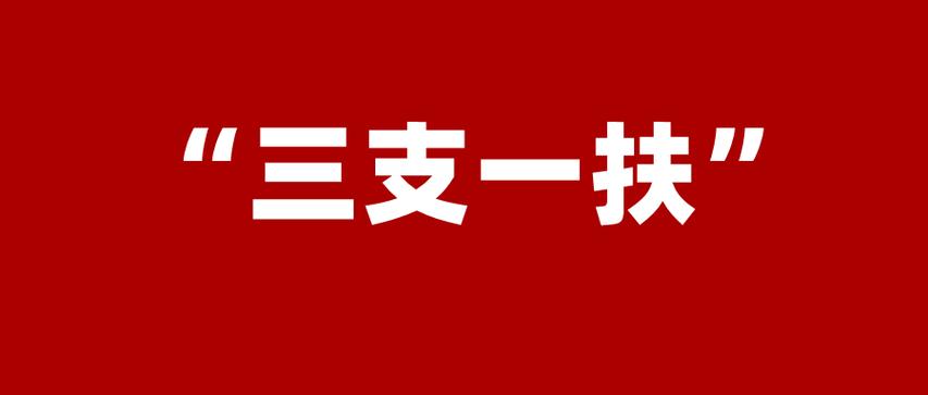 如何报考？待遇如何？2024年“三支一扶”计划解读