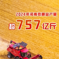 2024年河南夏粮总产量超757亿斤 实现增产丰收